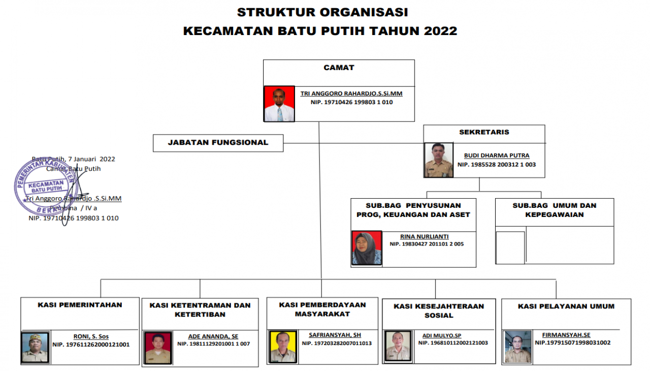 Struktur Organisasi Dispora