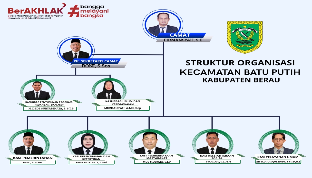 Struktur Organisasi Dispora